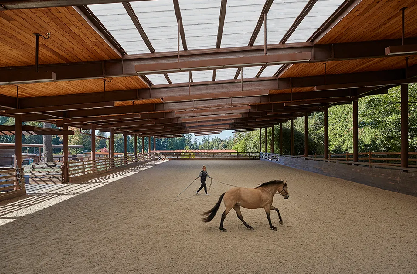 Safety First: Essential Features for a Secure Indoor Riding Arena